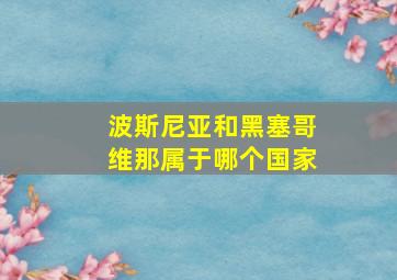 波斯尼亚和黑塞哥维那属于哪个国家