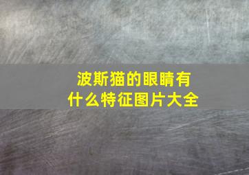 波斯猫的眼睛有什么特征图片大全