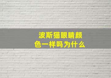 波斯猫眼睛颜色一样吗为什么