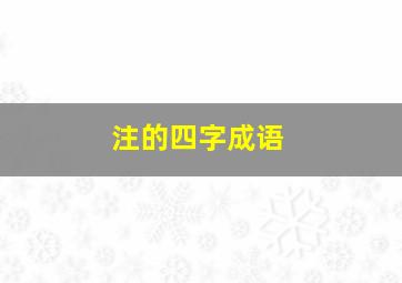 注的四字成语