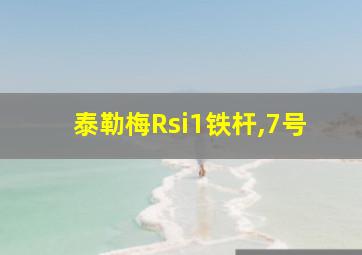 泰勒梅Rsi1铁杆,7号