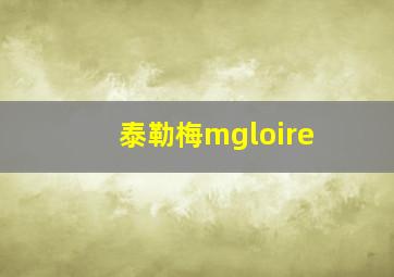 泰勒梅mgloire