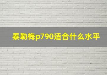 泰勒梅p790适合什么水平