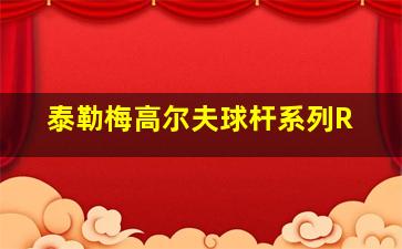 泰勒梅高尔夫球杆系列R