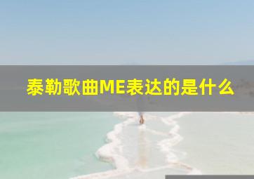 泰勒歌曲ME表达的是什么