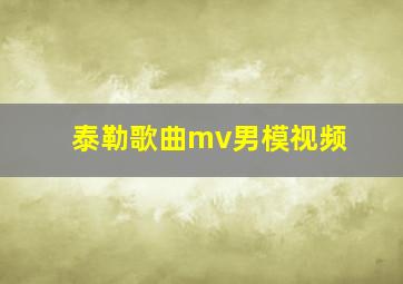 泰勒歌曲mv男模视频