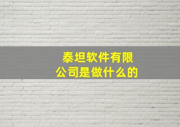 泰坦软件有限公司是做什么的