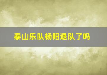 泰山乐队杨阳退队了吗