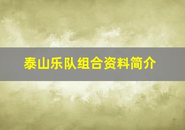 泰山乐队组合资料简介