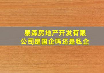 泰森房地产开发有限公司是国企吗还是私企