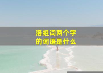 洛组词两个字的词语是什么