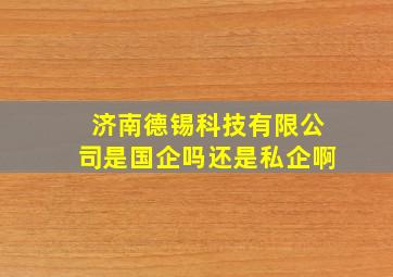 济南德锡科技有限公司是国企吗还是私企啊