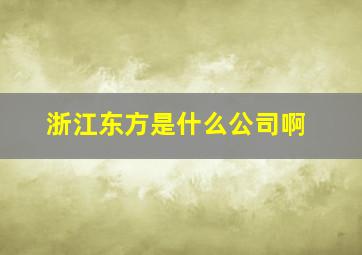 浙江东方是什么公司啊