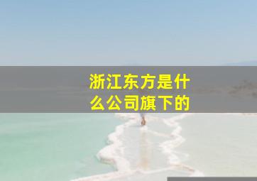 浙江东方是什么公司旗下的