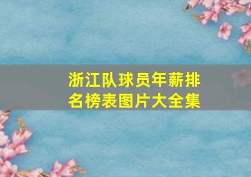 浙江队球员年薪排名榜表图片大全集