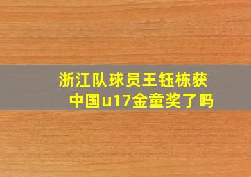 浙江队球员王钰栋获中国u17金童奖了吗