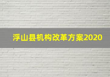 浮山县机构改革方案2020