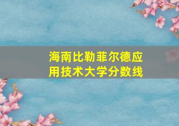 海南比勒菲尔德应用技术大学分数线