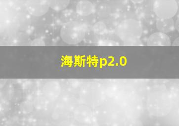 海斯特p2.0