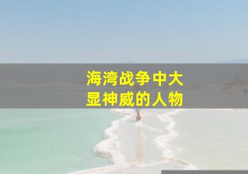 海湾战争中大显神威的人物