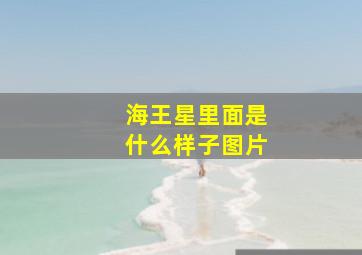 海王星里面是什么样子图片