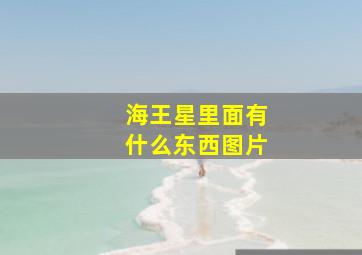 海王星里面有什么东西图片