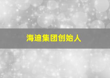 海迪集团创始人