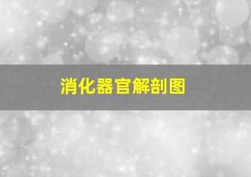 消化器官解剖图