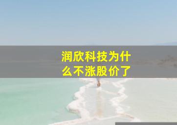 润欣科技为什么不涨股价了