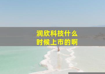 润欣科技什么时候上市的啊