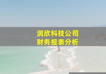 润欣科技公司财务报表分析