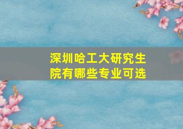 深圳哈工大研究生院有哪些专业可选