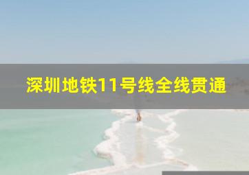 深圳地铁11号线全线贯通