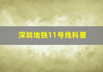 深圳地铁11号线科普