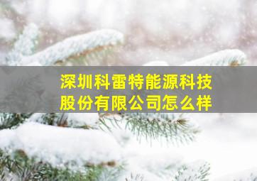 深圳科雷特能源科技股份有限公司怎么样