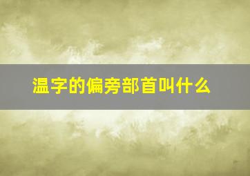 温字的偏旁部首叫什么