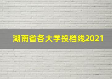 湖南省各大学投档线2021