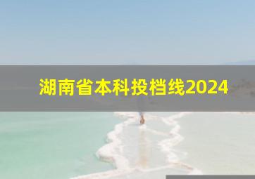 湖南省本科投档线2024