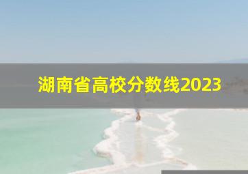 湖南省高校分数线2023