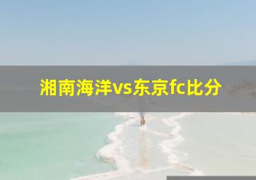 湘南海洋vs东京fc比分