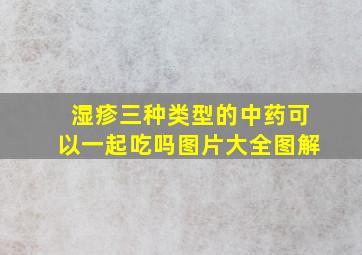 湿疹三种类型的中药可以一起吃吗图片大全图解