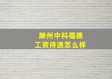 滕州中科福德工资待遇怎么样