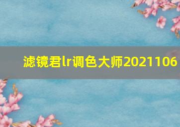 滤镜君lr调色大师2021106