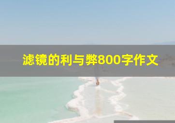 滤镜的利与弊800字作文