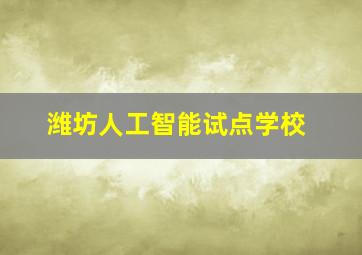 潍坊人工智能试点学校