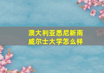 澳大利亚悉尼新南威尔士大学怎么样