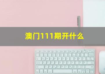 澳门111期开什么