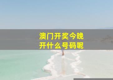 澳门开奖今晚开什么号码呢