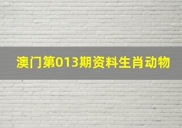 澳门第013期资料生肖动物