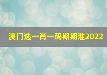 澳门选一肖一码期期淮2022